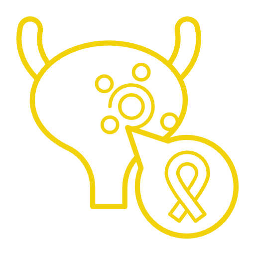 Bladder cancer cancer indication