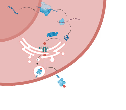 neoMS MHC epitope presentation prediction